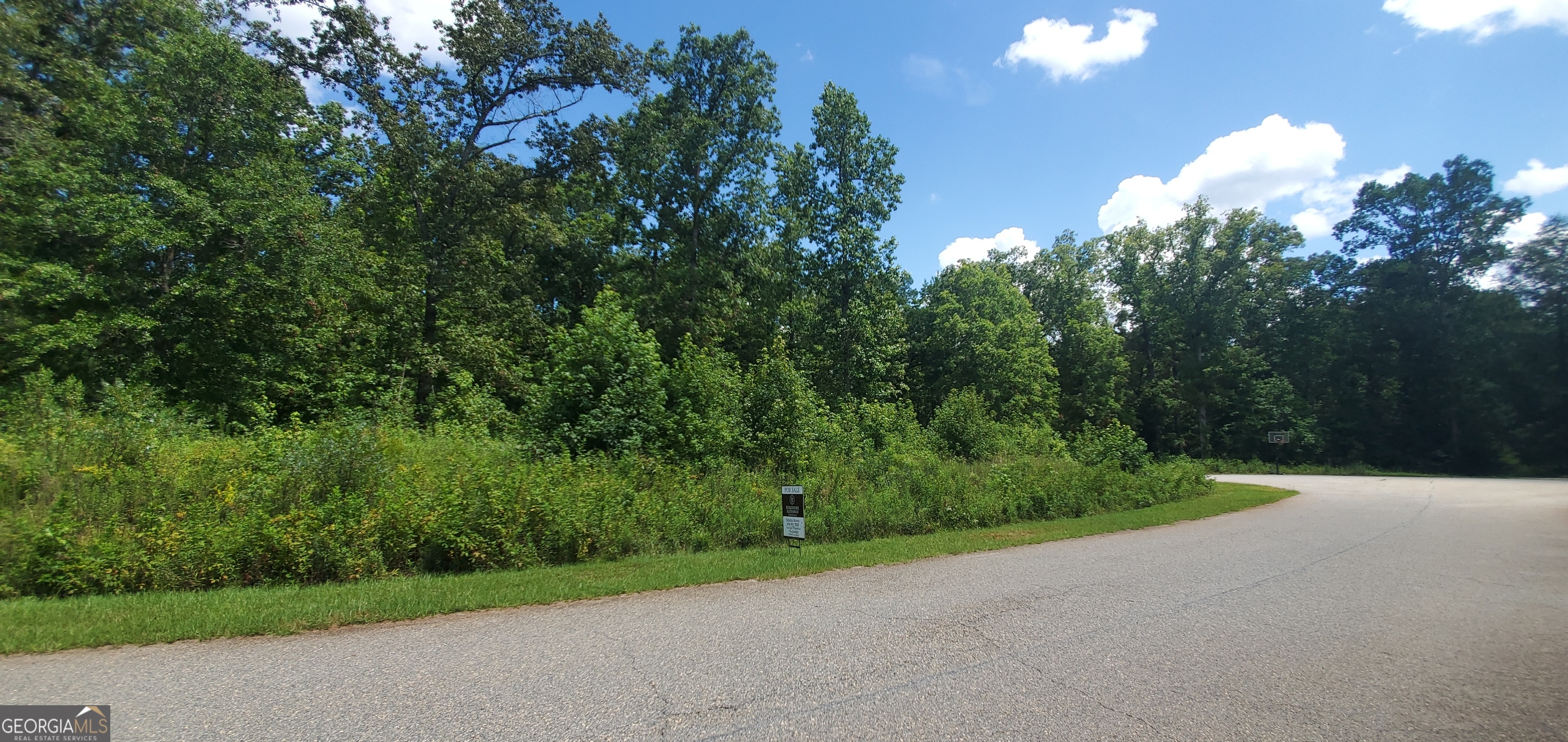 a view of a pathway both side of grassy field with trees