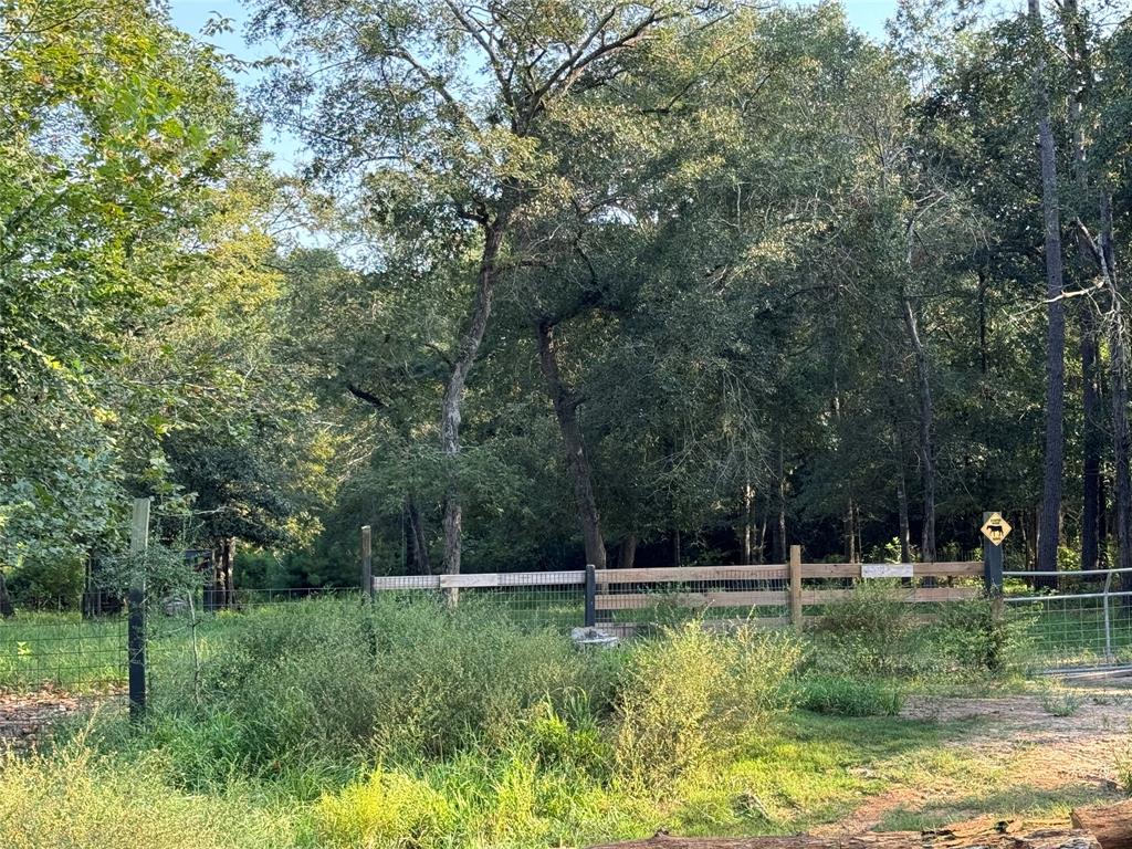 a view of a park with large trees