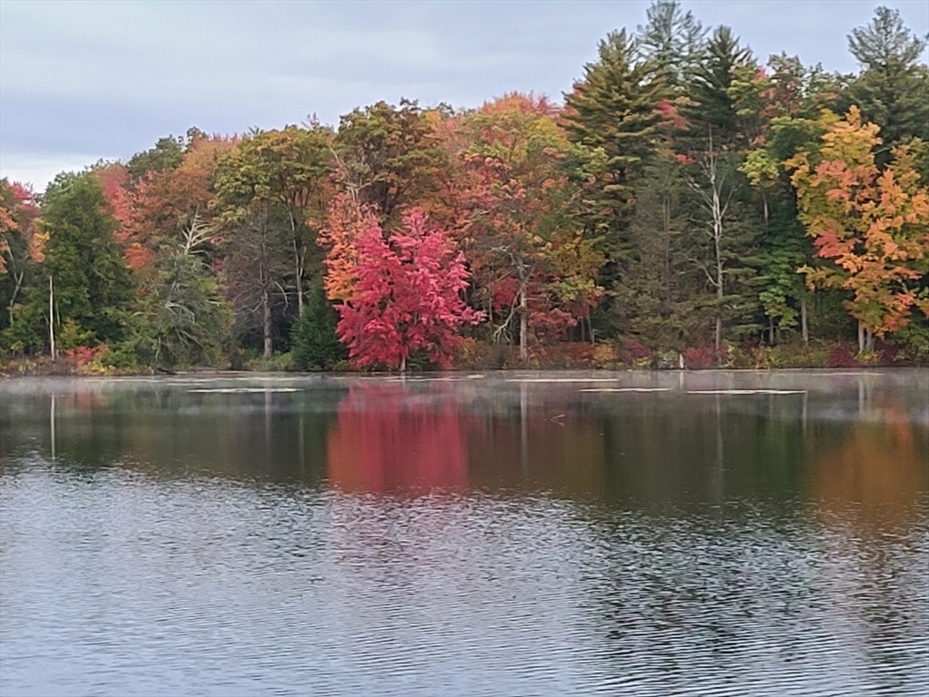 a view of lake