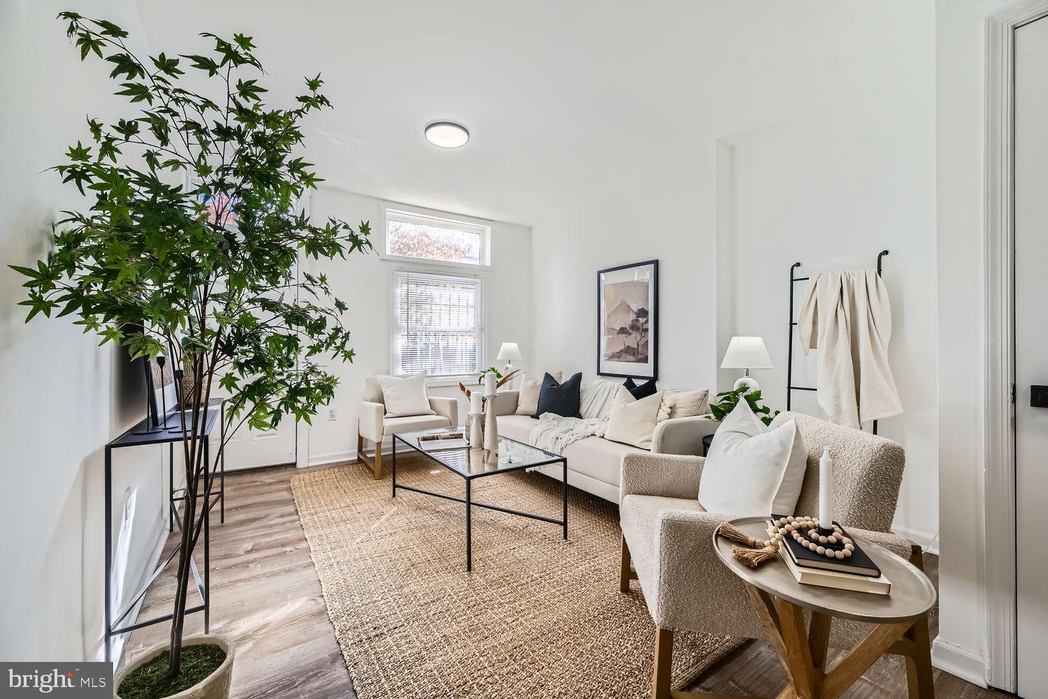 a living room with furniture a potted plant and a large window