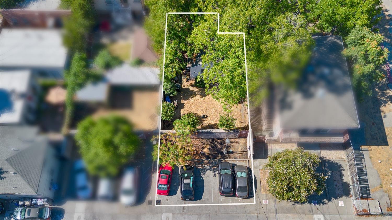 a view of a yard with plants