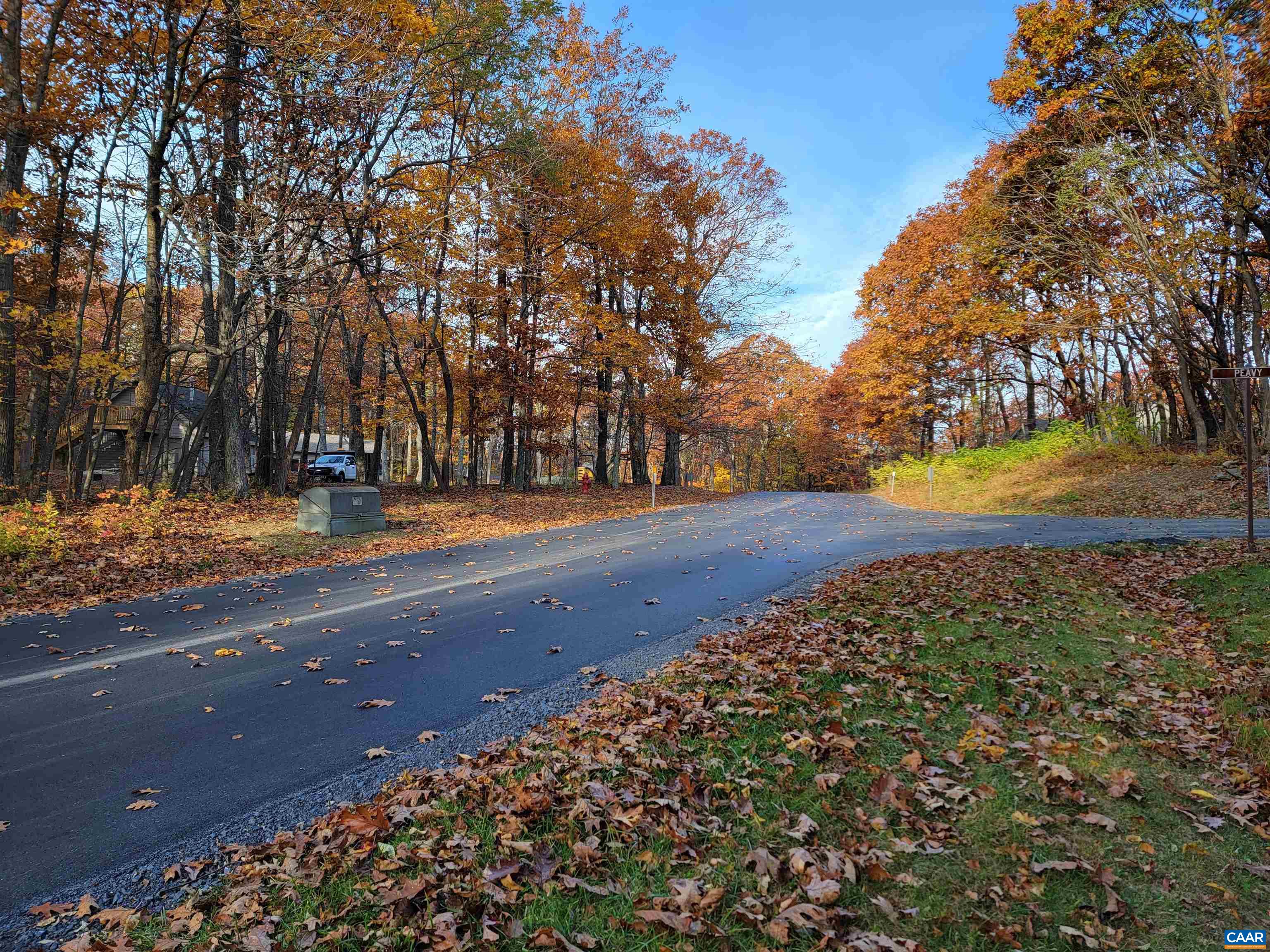 a view of road with yard