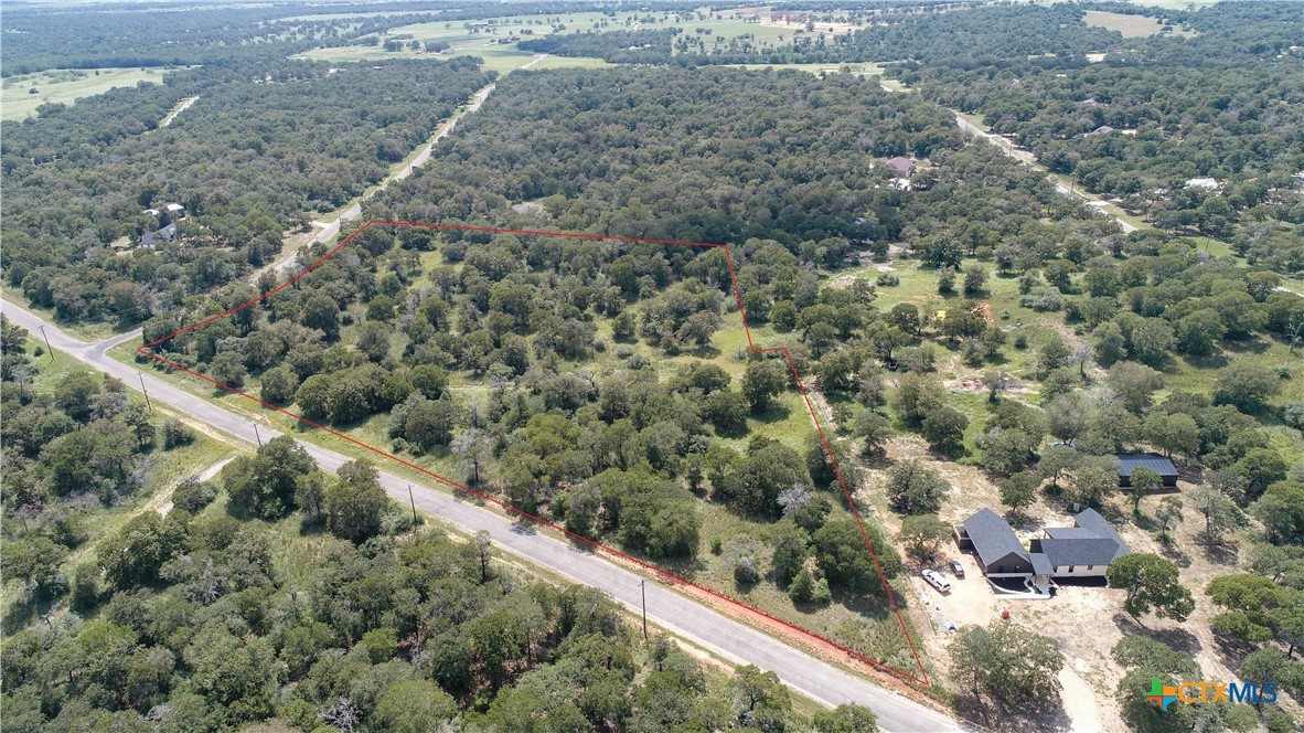 a view of a forest with a street