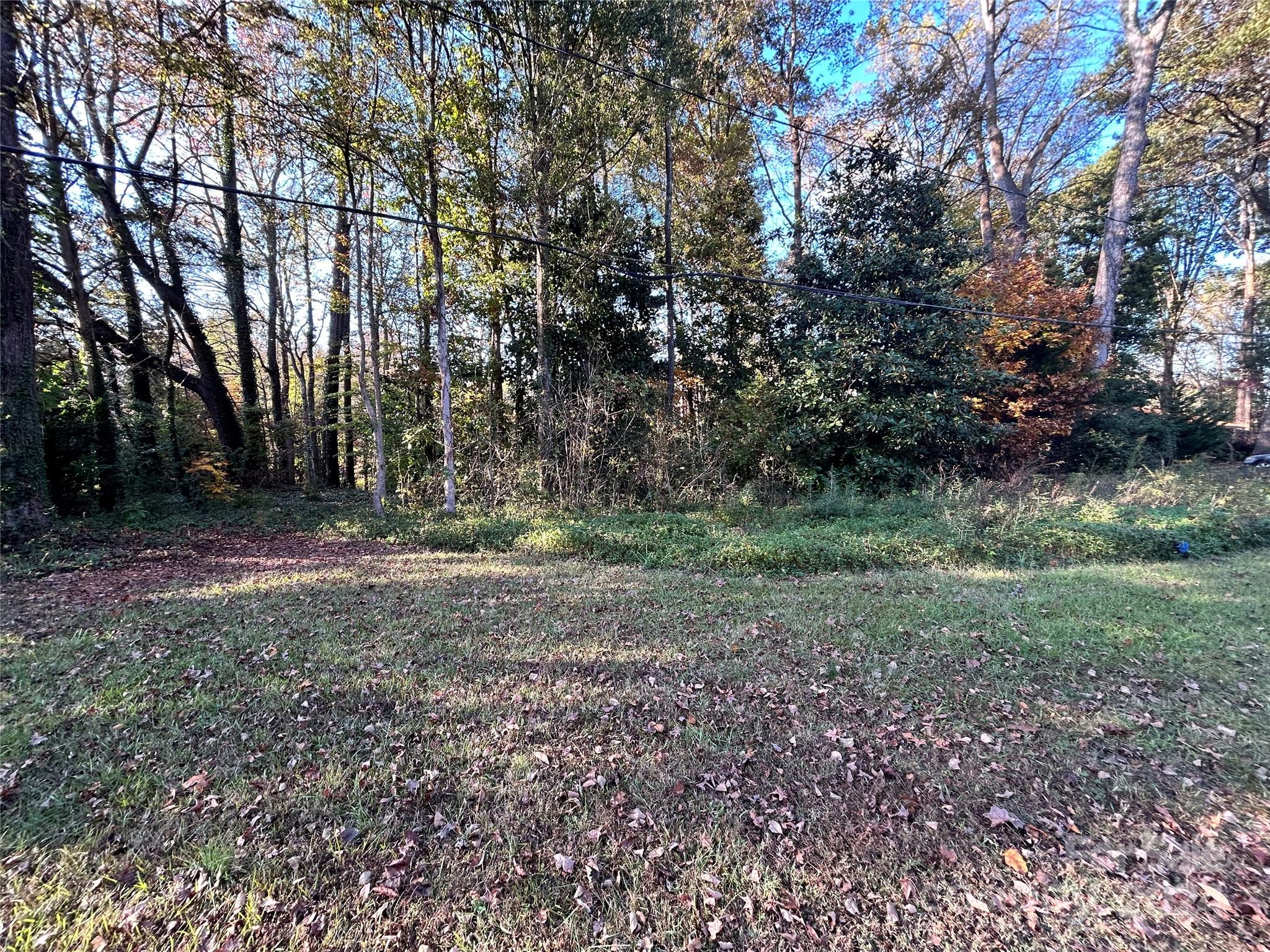 a view of outdoor space with trees