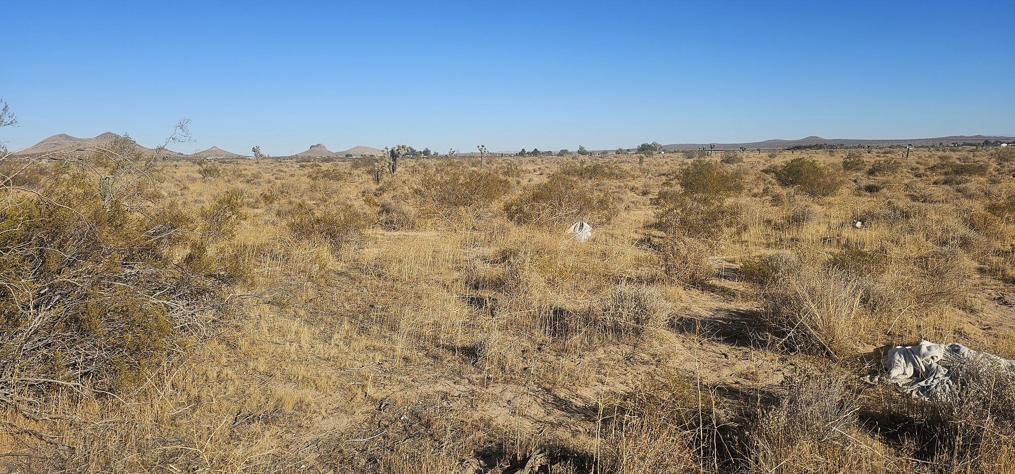 a view of a field