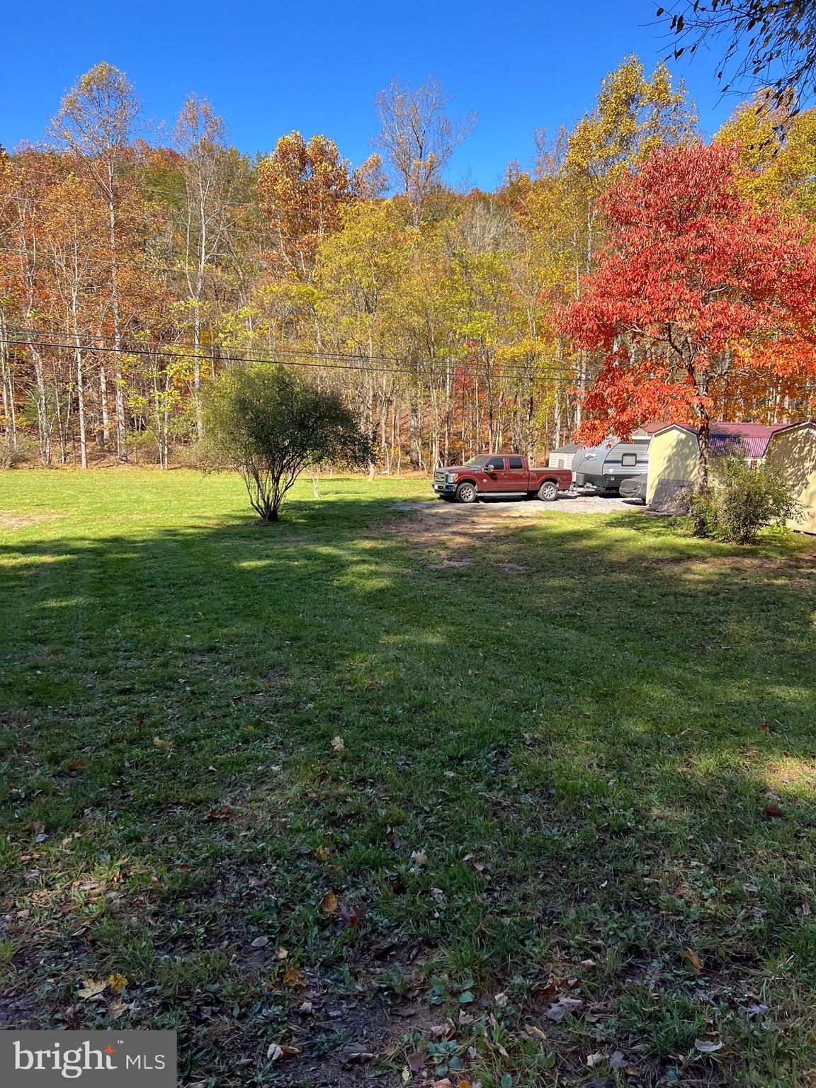 a view of a garden