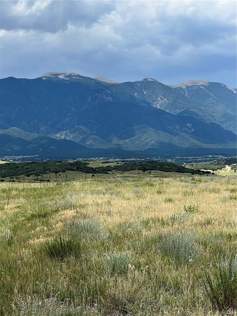 a view of a lush green hillside and a mountain