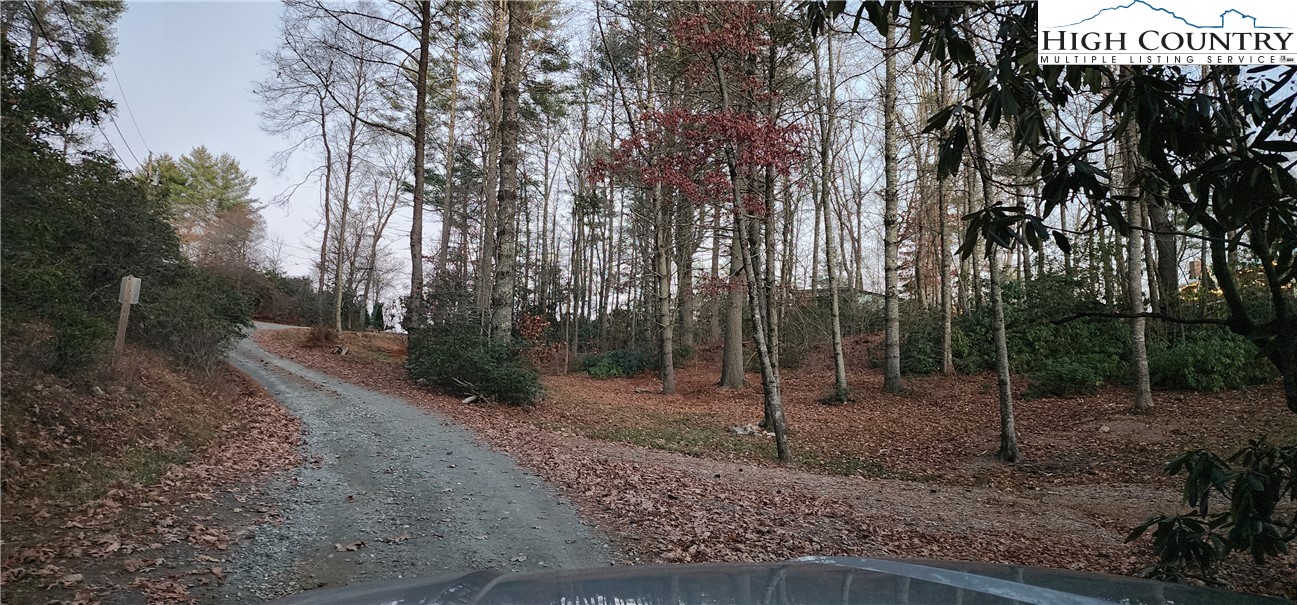 a view of a park with trees