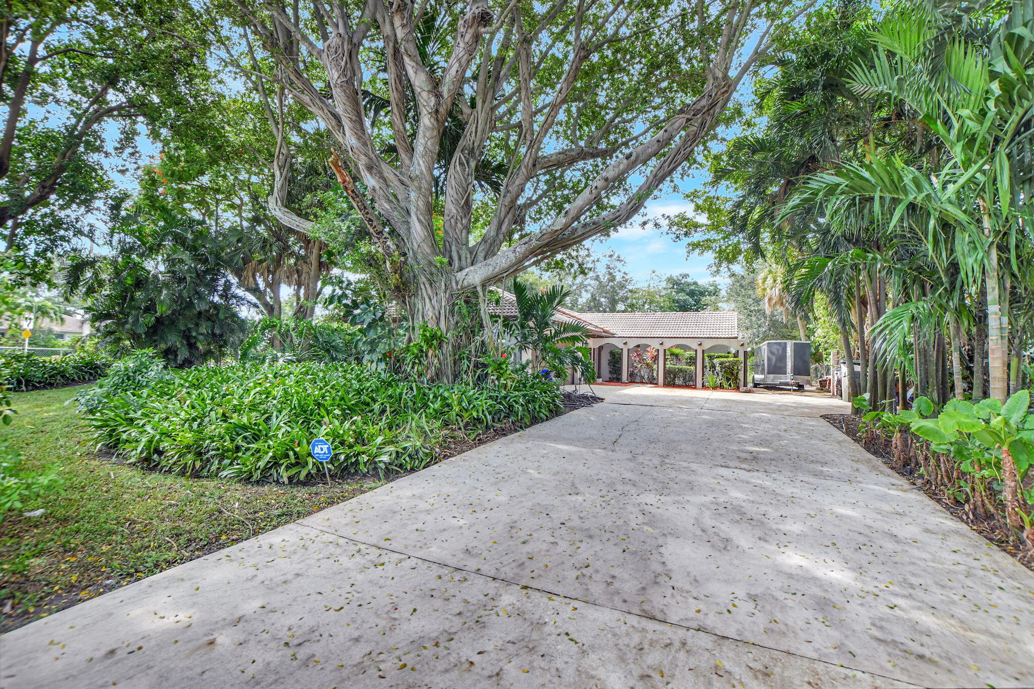 a view of a garden with large trees