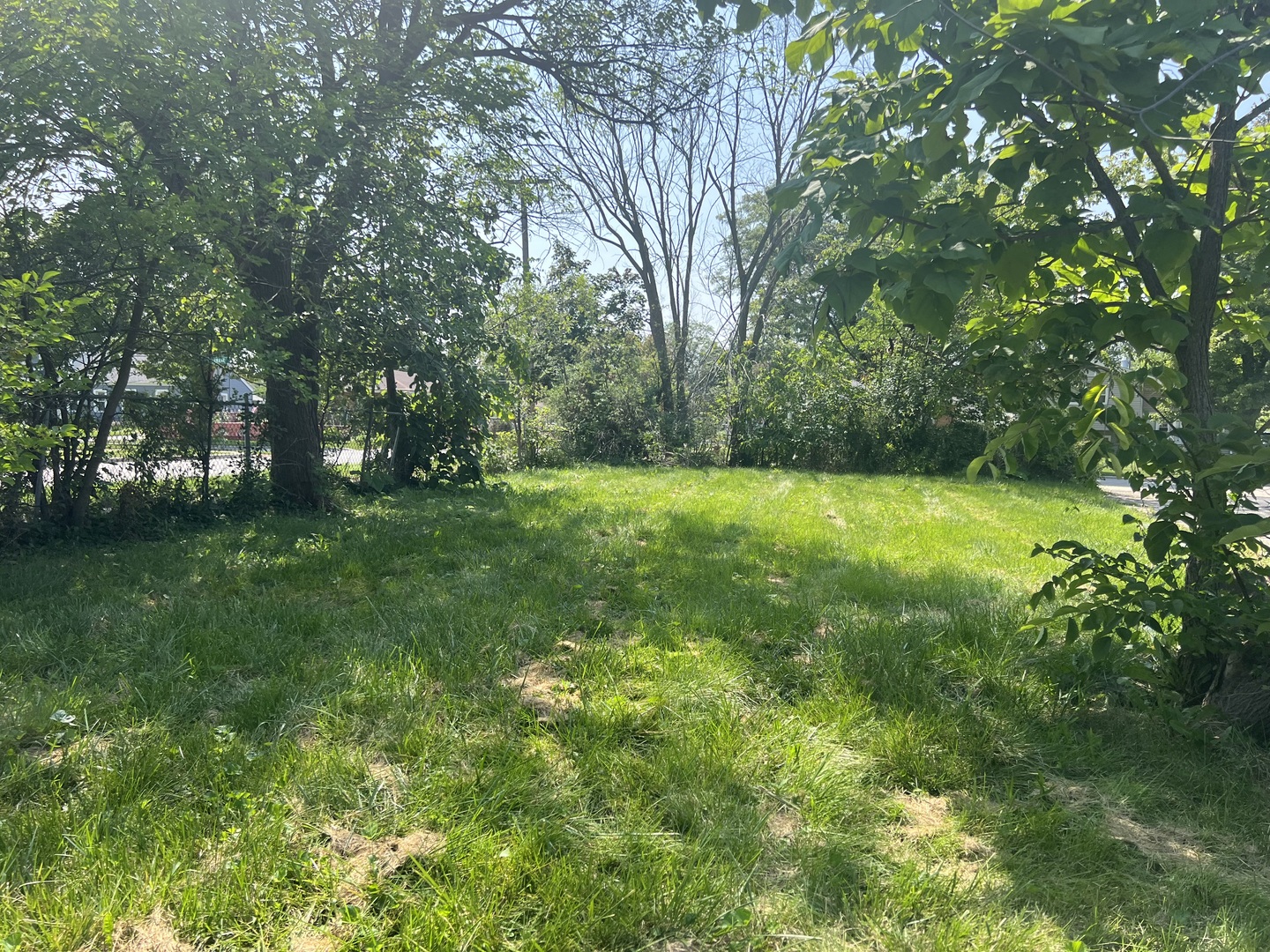 a view of field with trees in the background