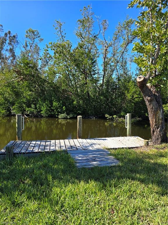 a view of a lake with a garden and trees