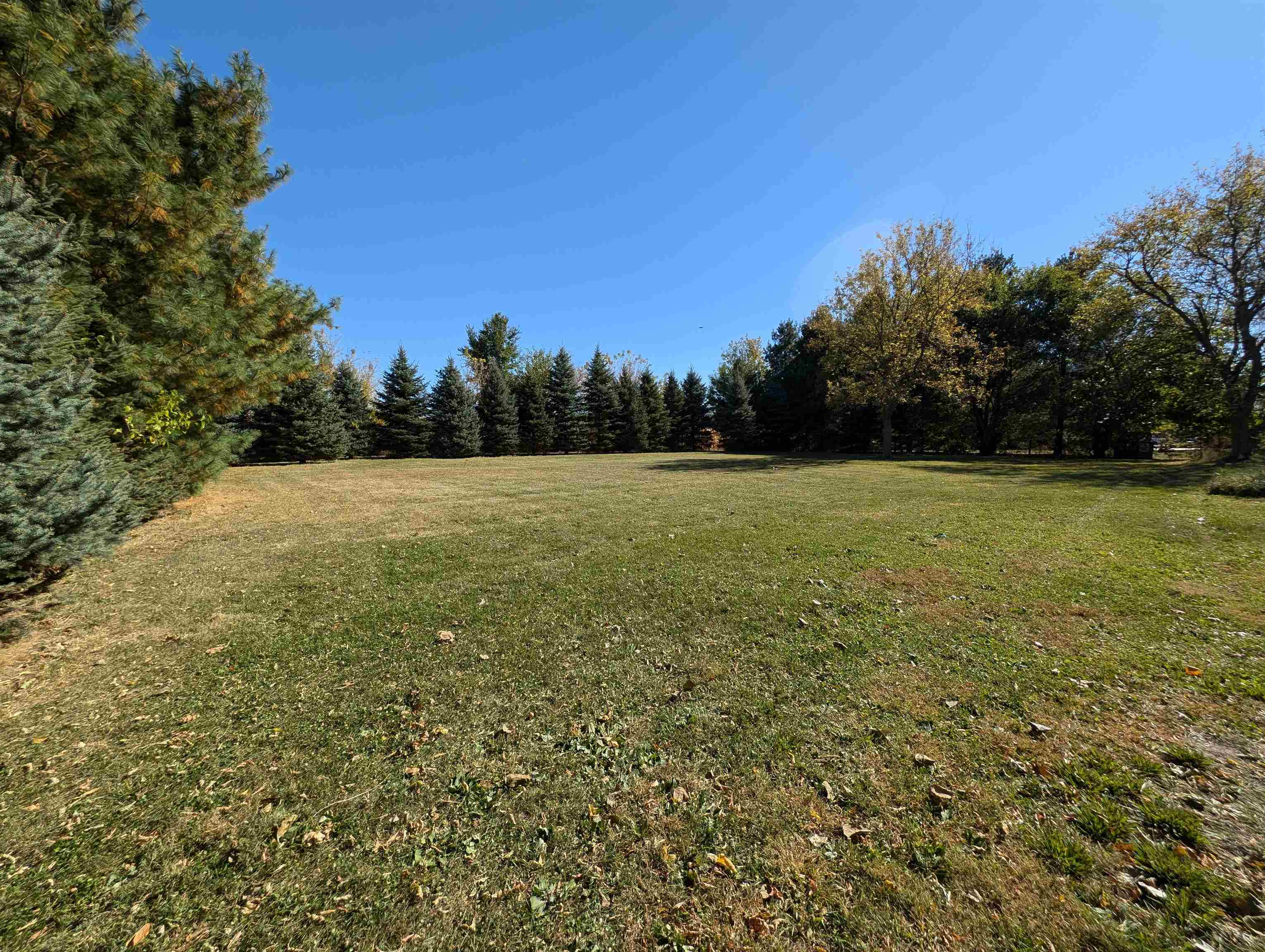 a view of a field with trees in the background