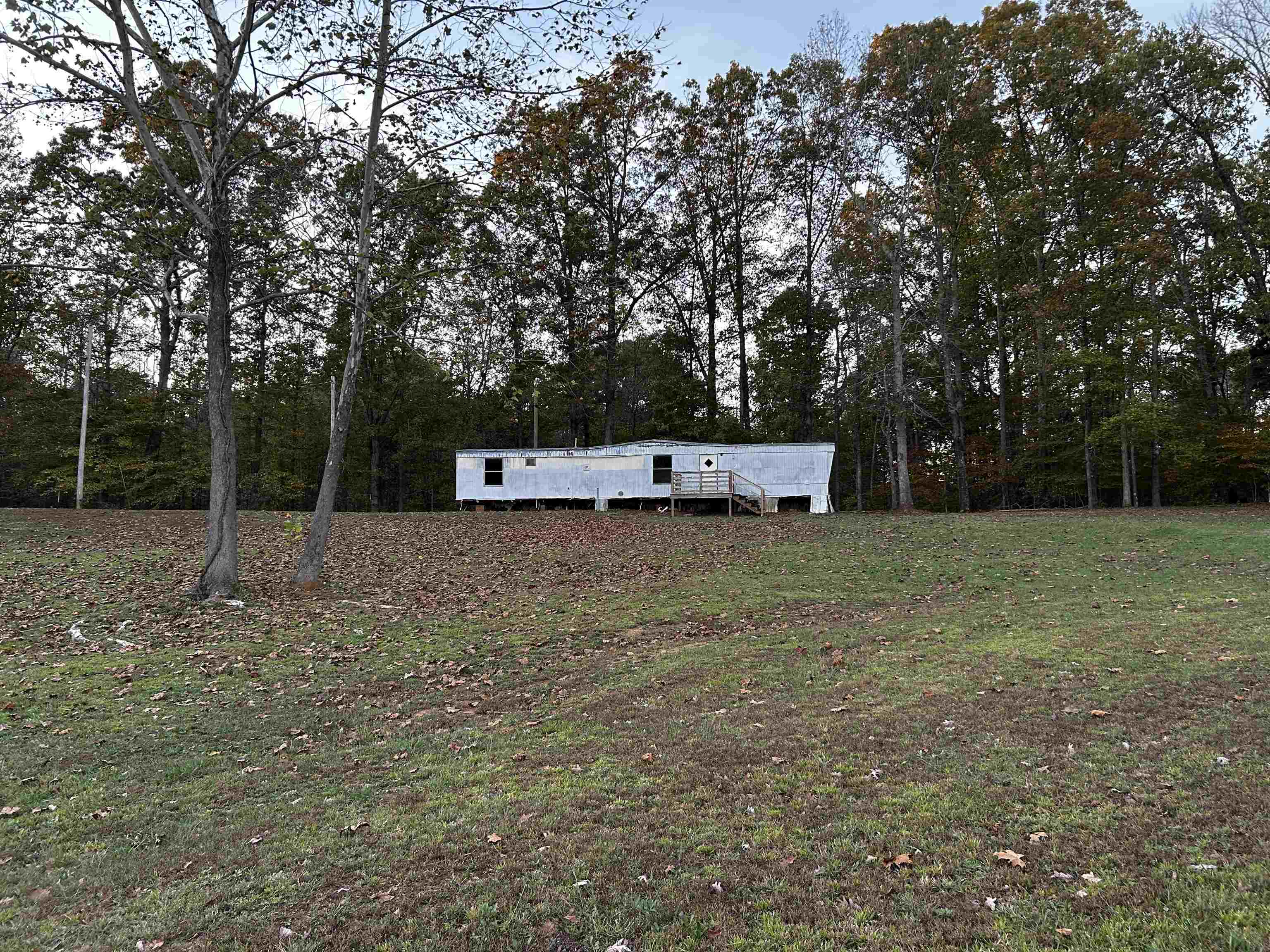 a view of a tiny house with a yard