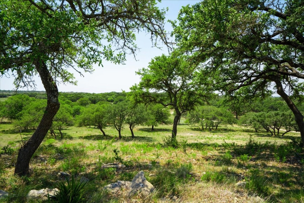 a view of backyard with green field