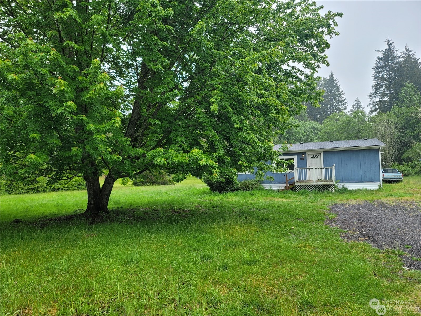 a view of a backyard with large trees