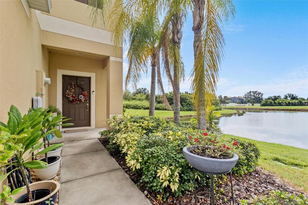 a view of a backyard with garden and plants