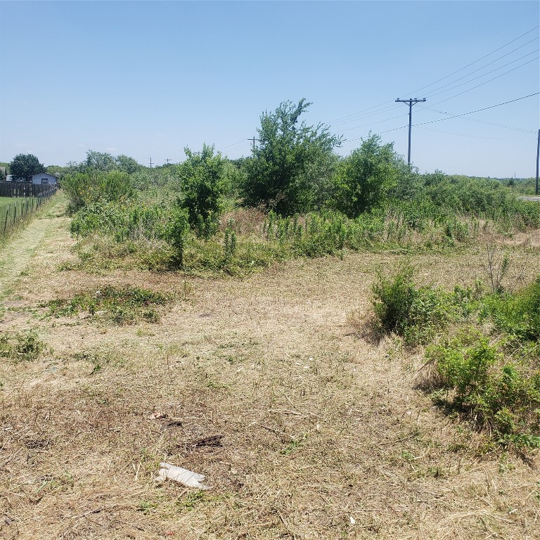 a view of a field with plants and trees in the background