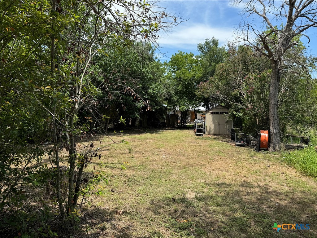 a view of a backyard