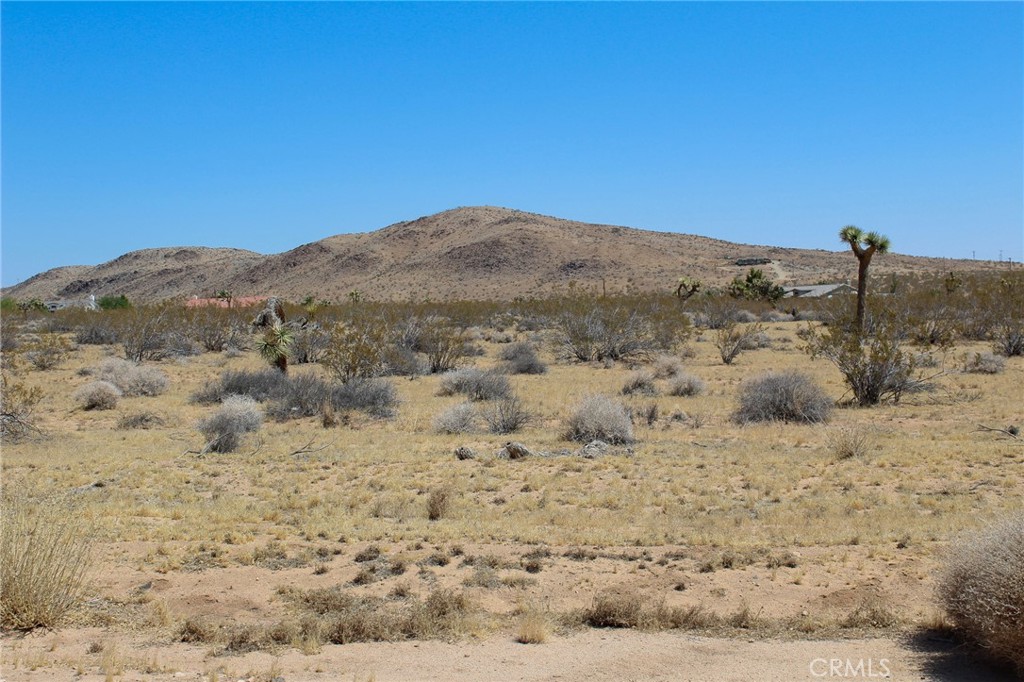 a view of a dry field with mountains in the background