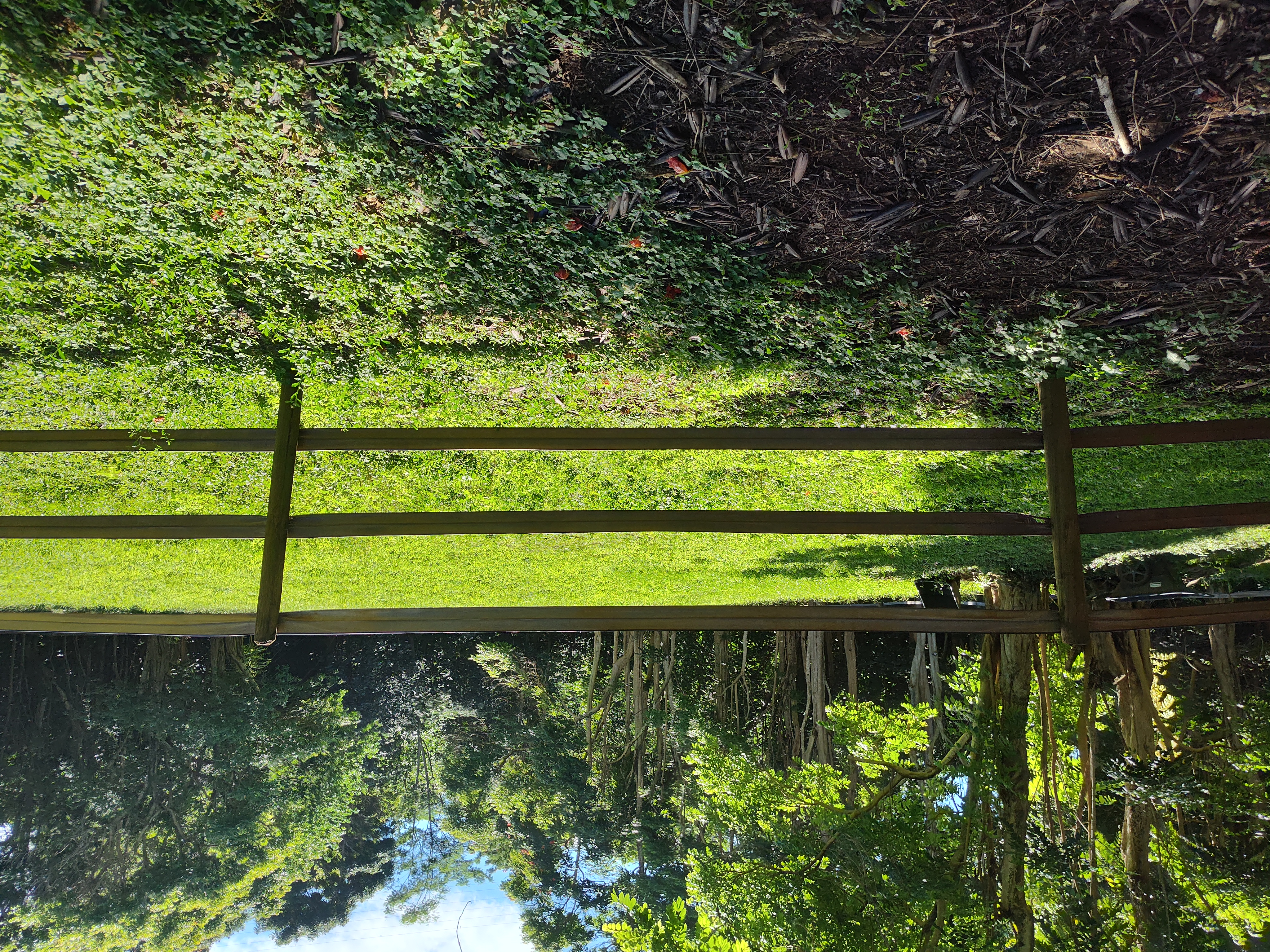 a view of a park