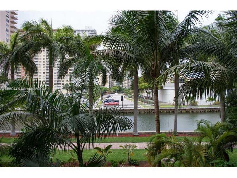 a view of a backyard and a palm tree