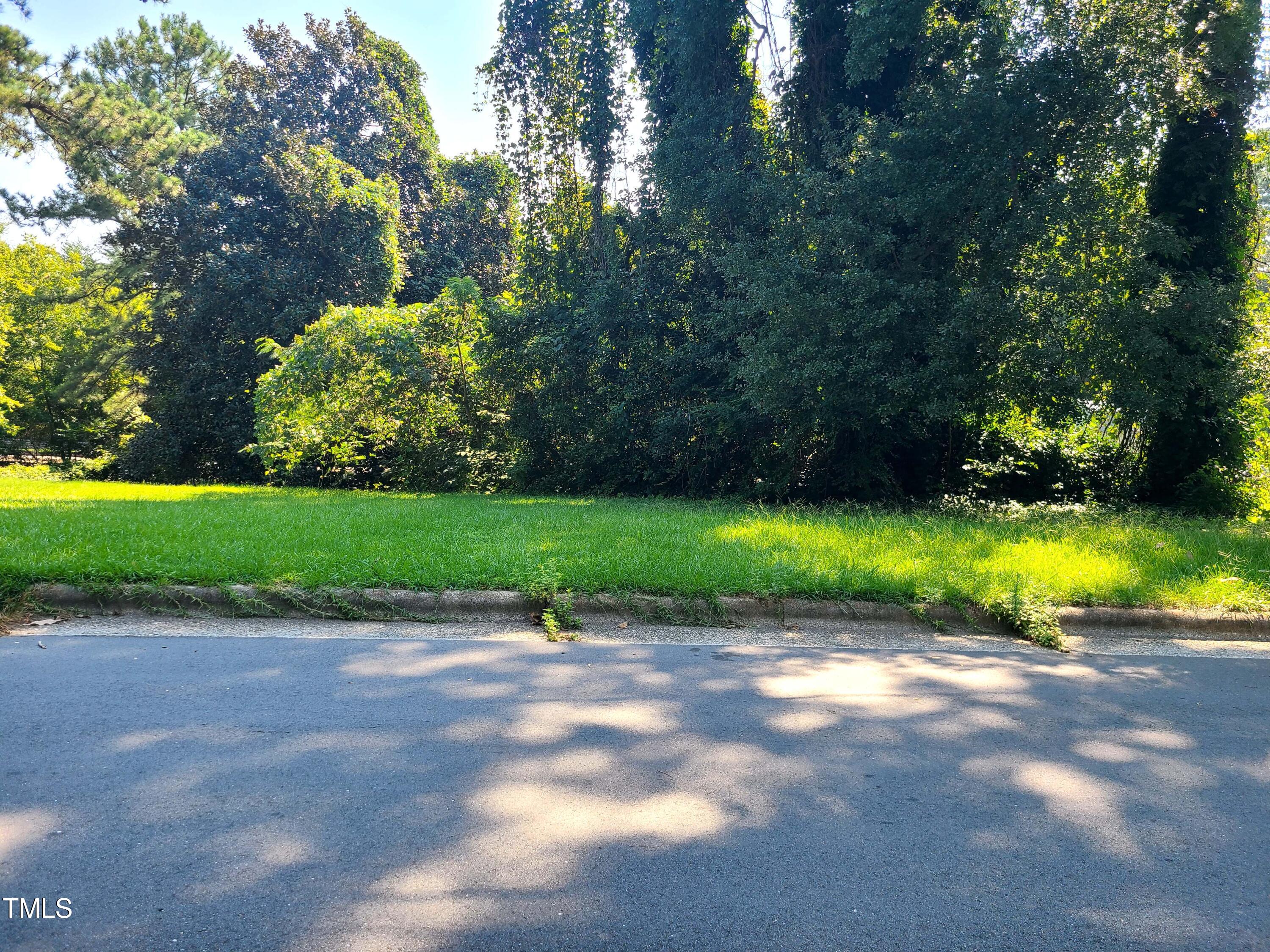 a view of a park with large trees