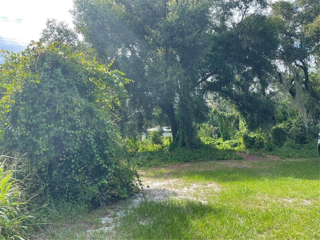 a view of outdoor space and yard