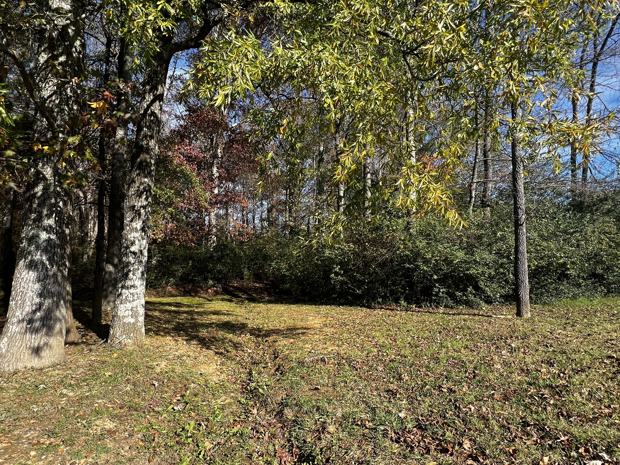 a view of outdoor space and yard