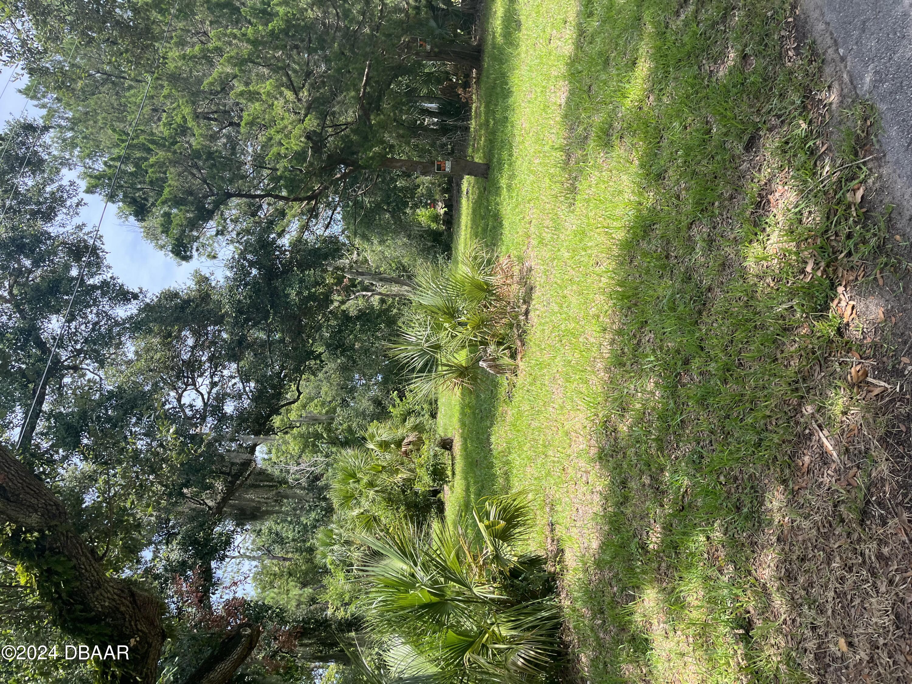 a view of yard with green space