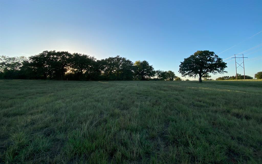 a view of a grassy field