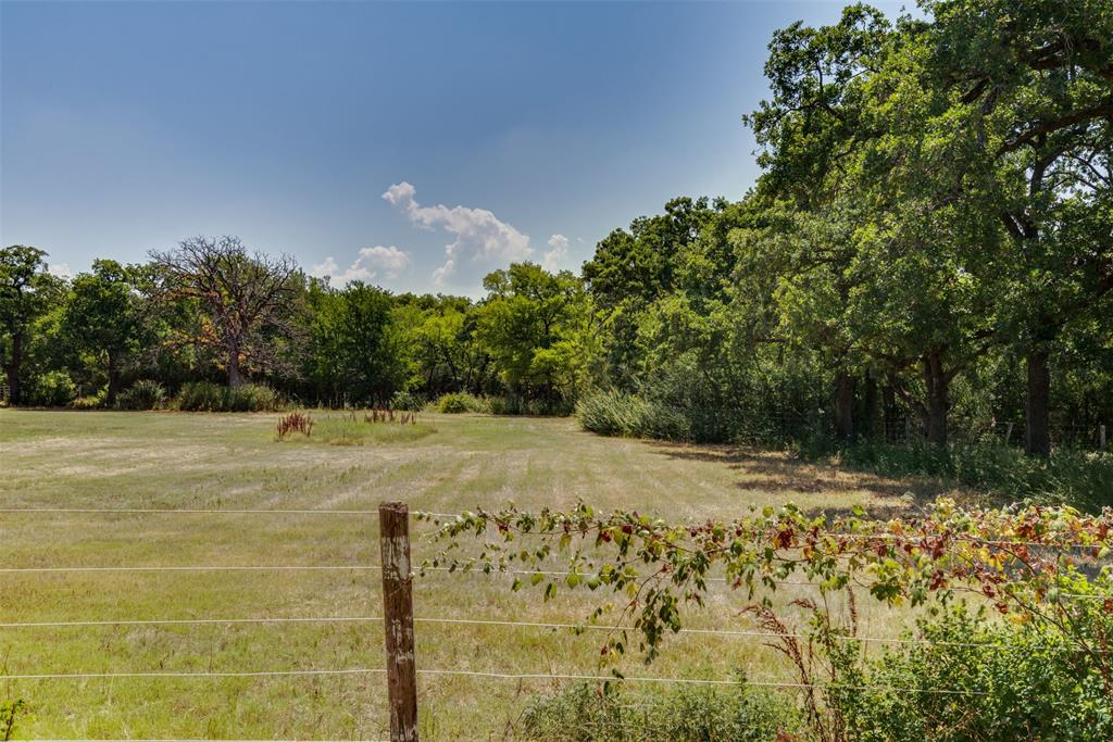 a view of a yard with trees