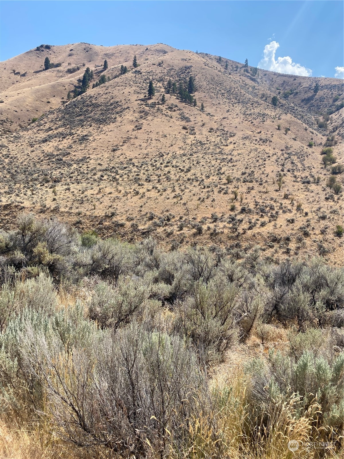 a view of a dry yard with mountains in the background