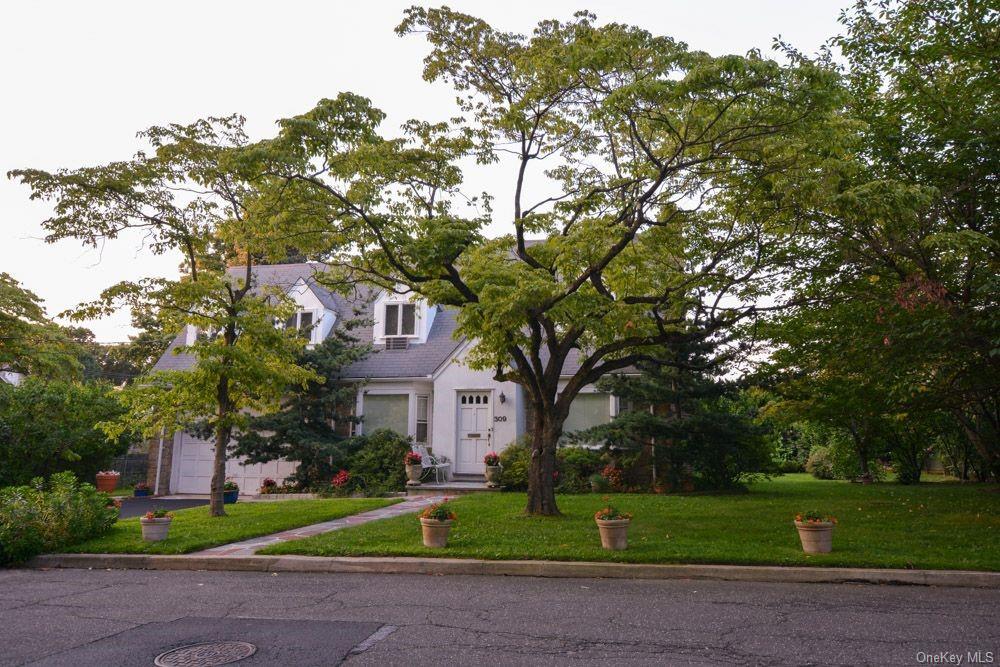 a tree in front of a white house