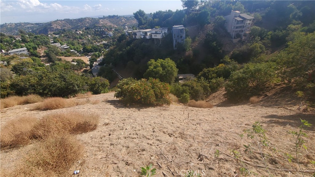 a view of a yard with a mountain