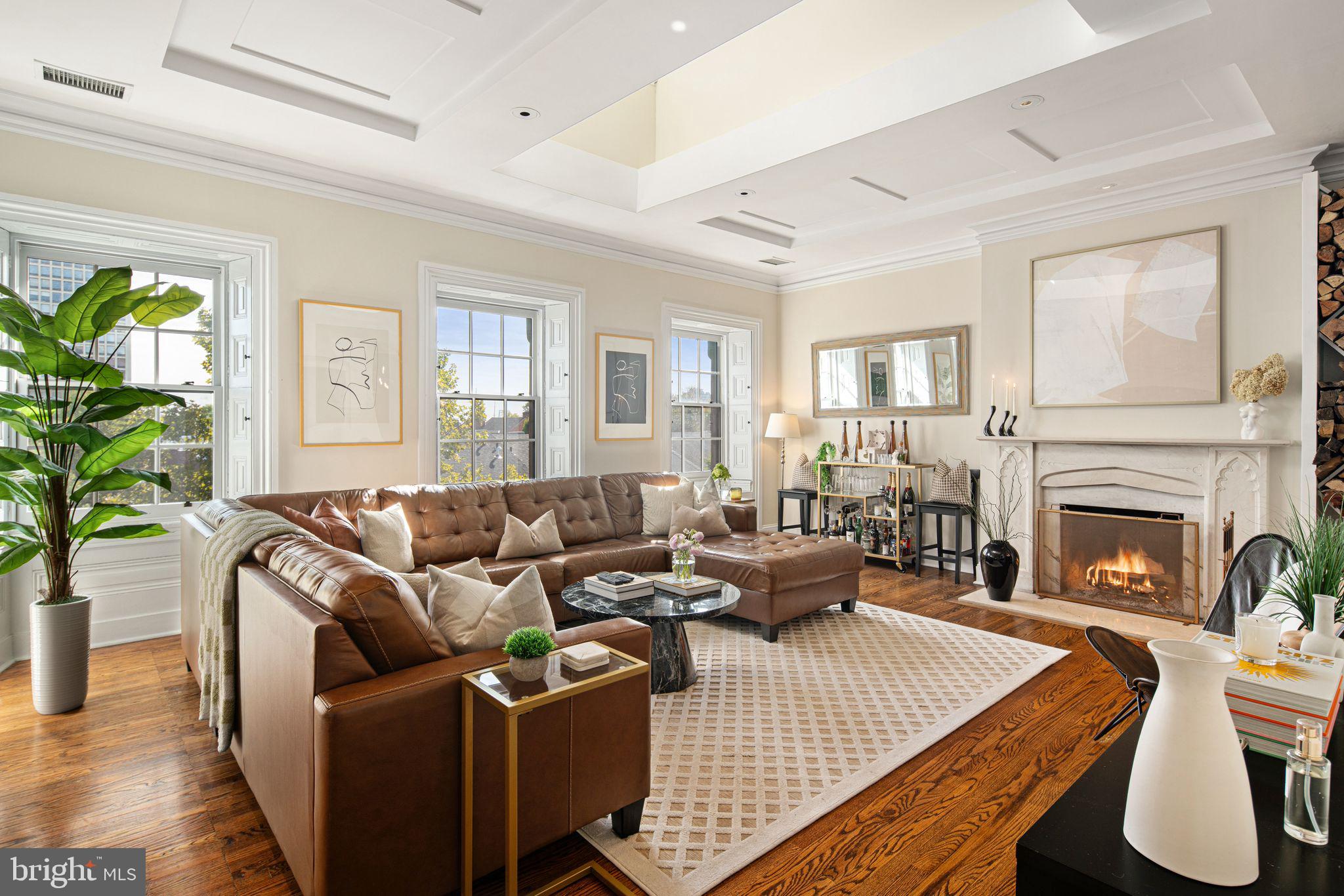 a living room with furniture fireplace and a potted plant