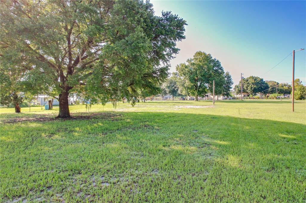 a view of yard with trees and grass