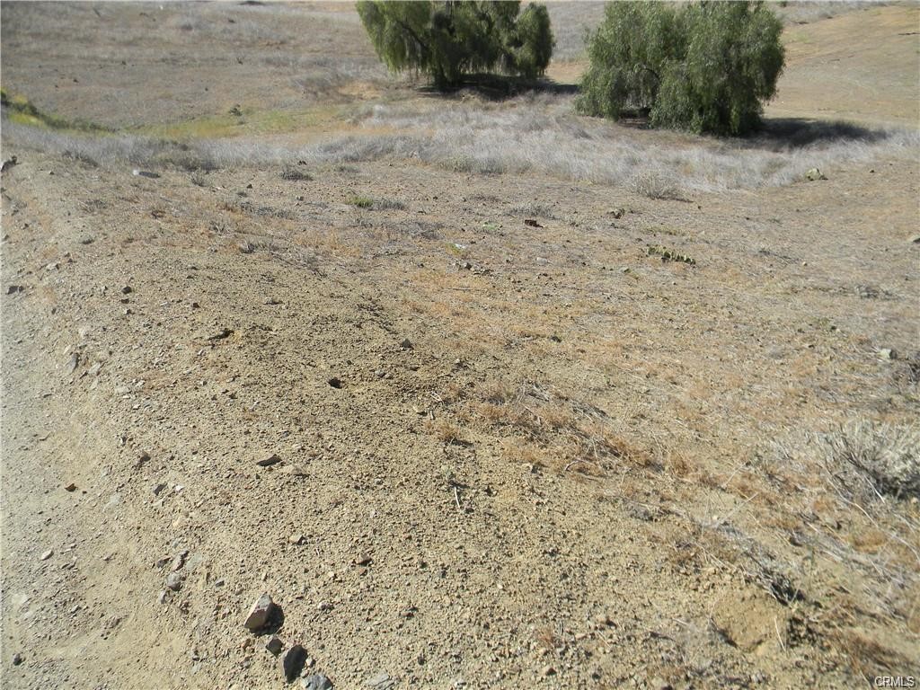 a view of a dry yard with trees