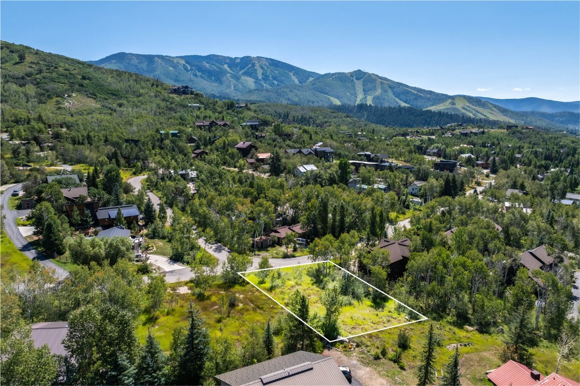 a view of a lush green hillside and houses