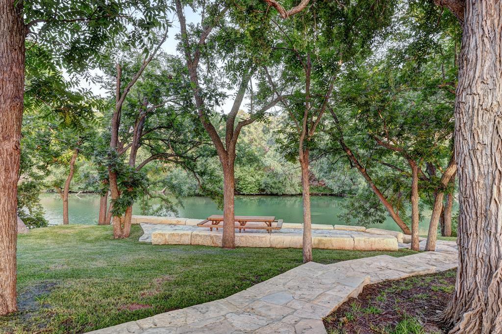 a view of a park with large trees