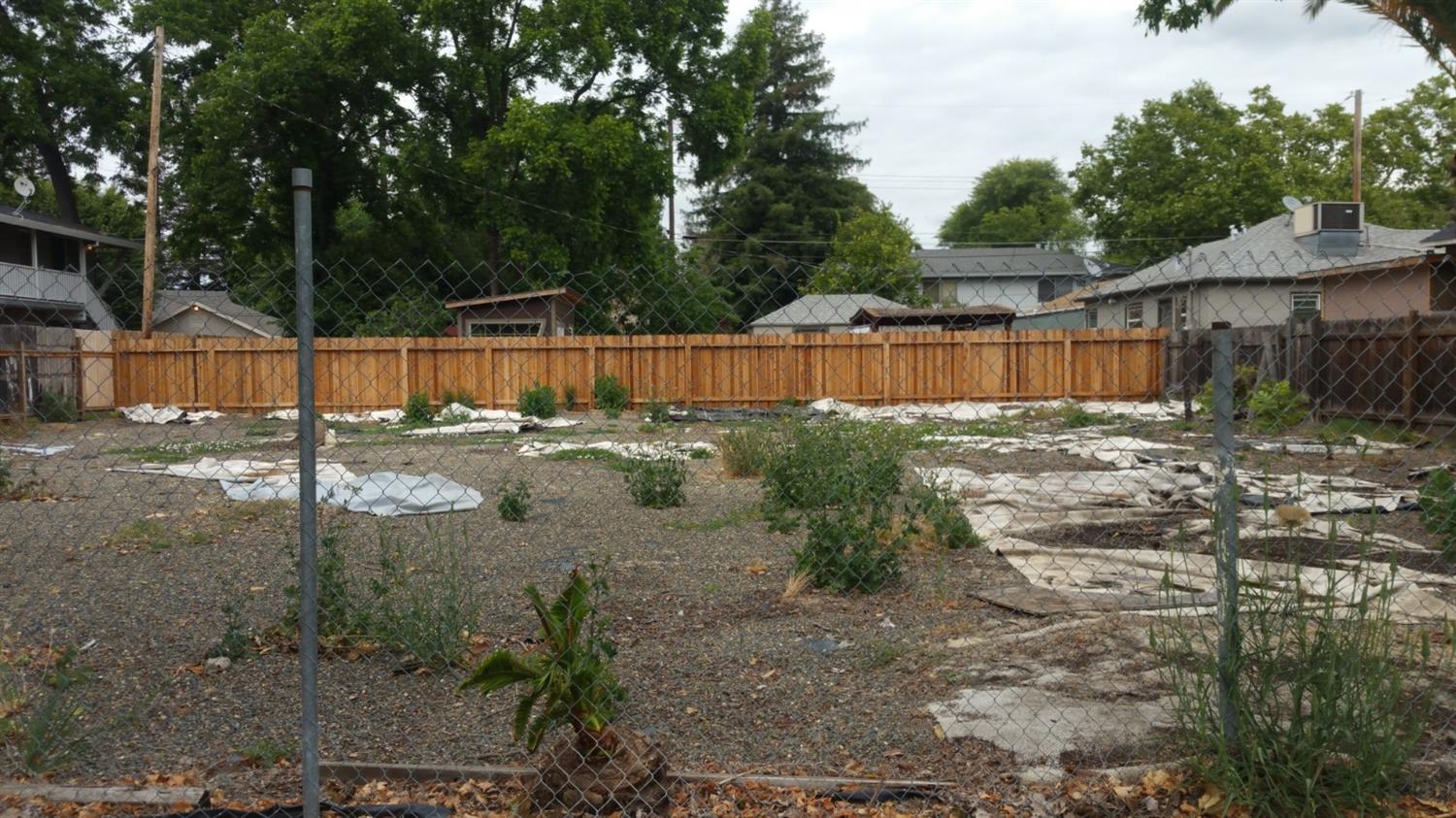 a view of a backyard