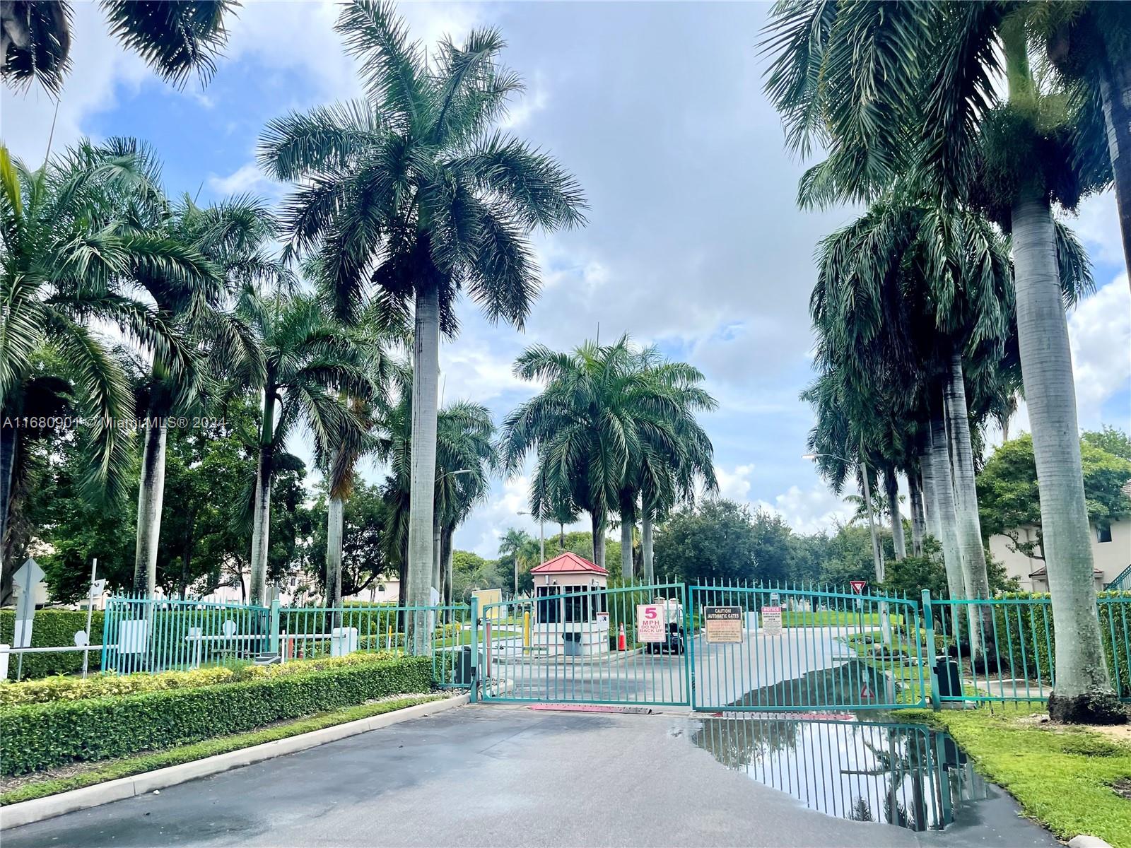 a view of a park with palm trees