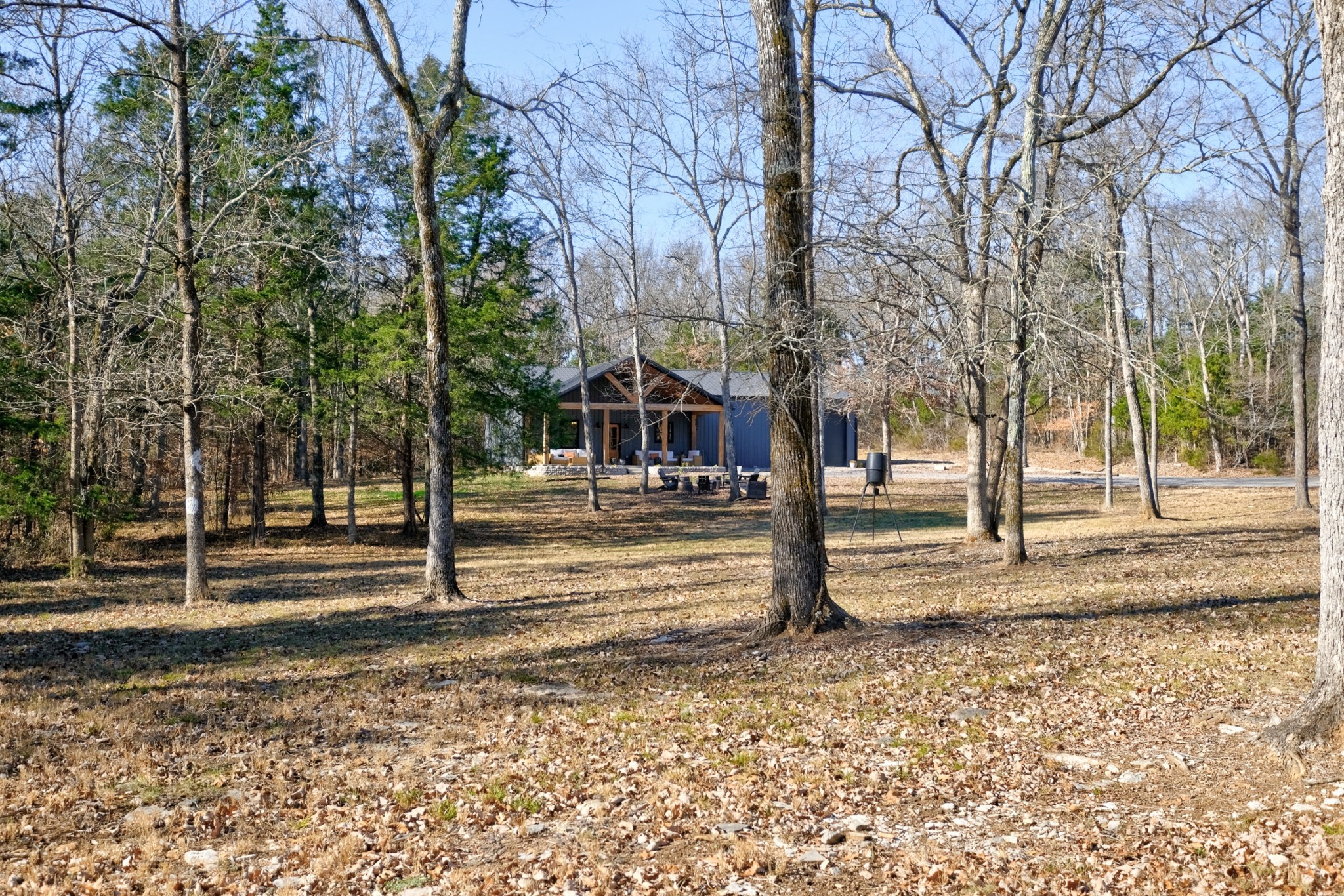 a view of a park with trees