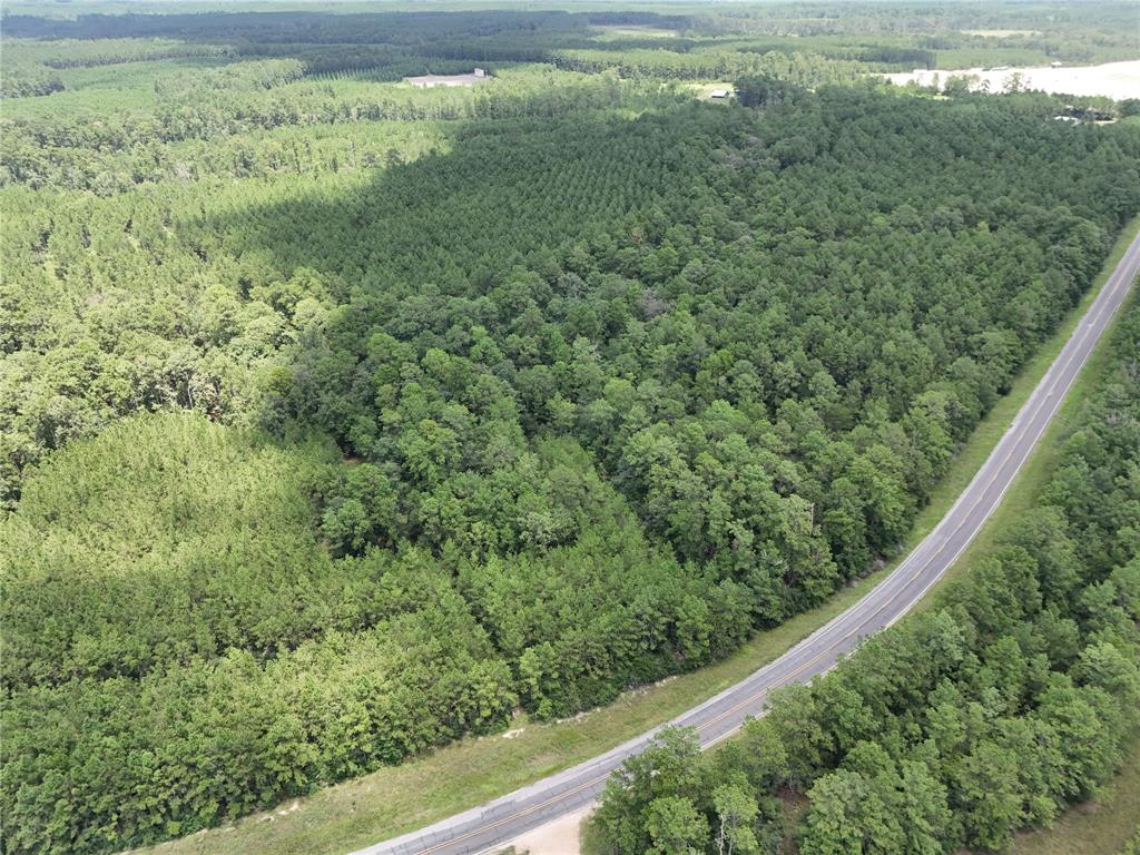 a view of a forest from a window