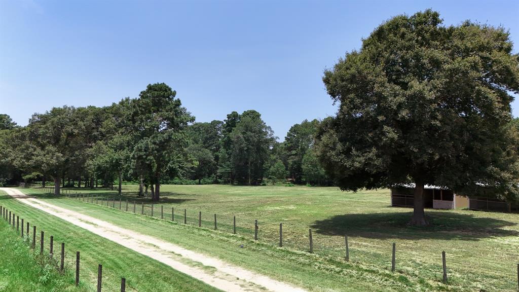 a view of a park