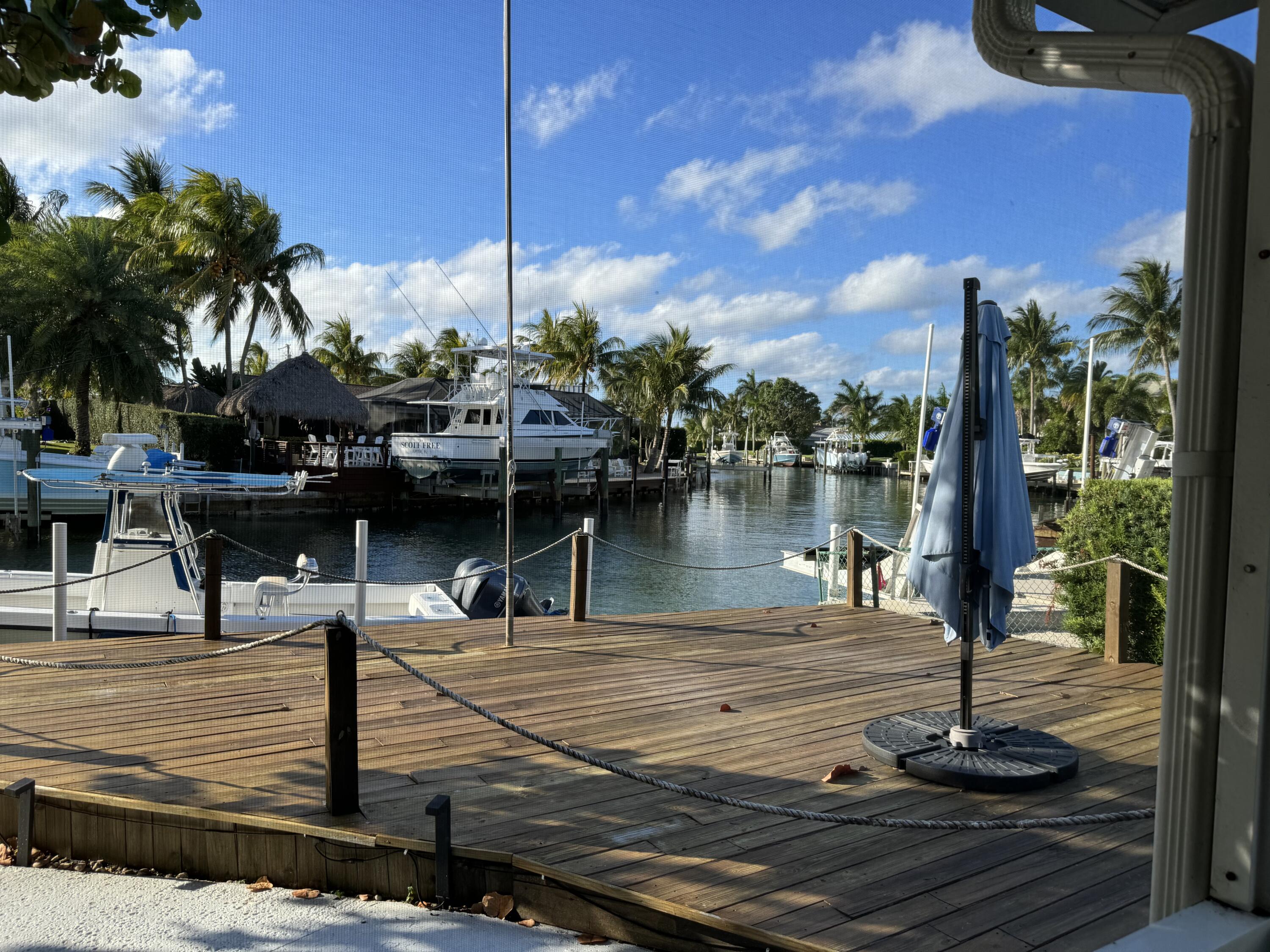 a view of a lake with palm trees