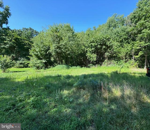 a view of a lush green space