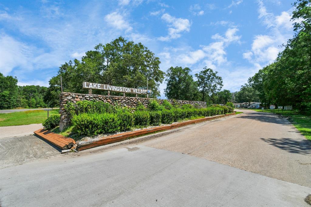 a view of a garden with a bench in a garden