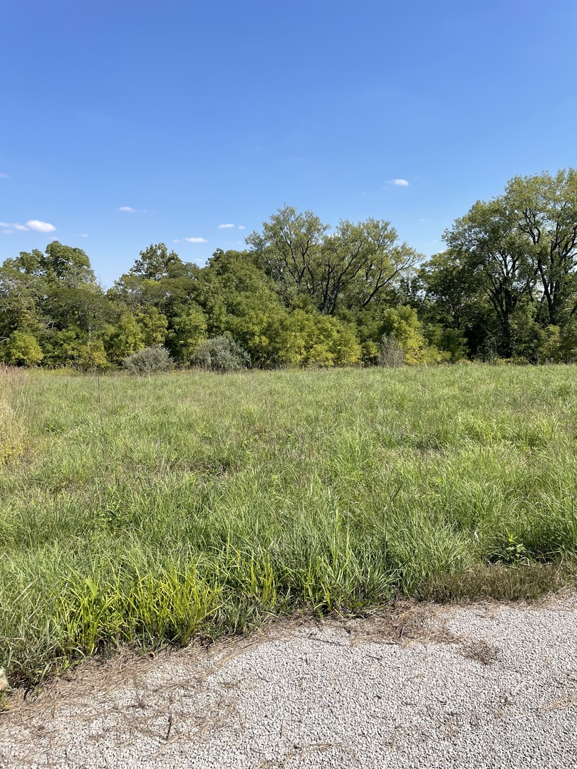 a view of a field with an trees