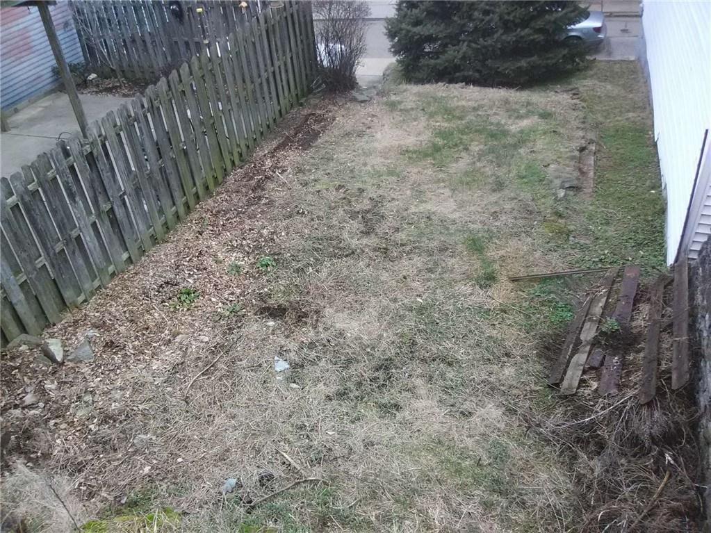 a view of a yard with trees