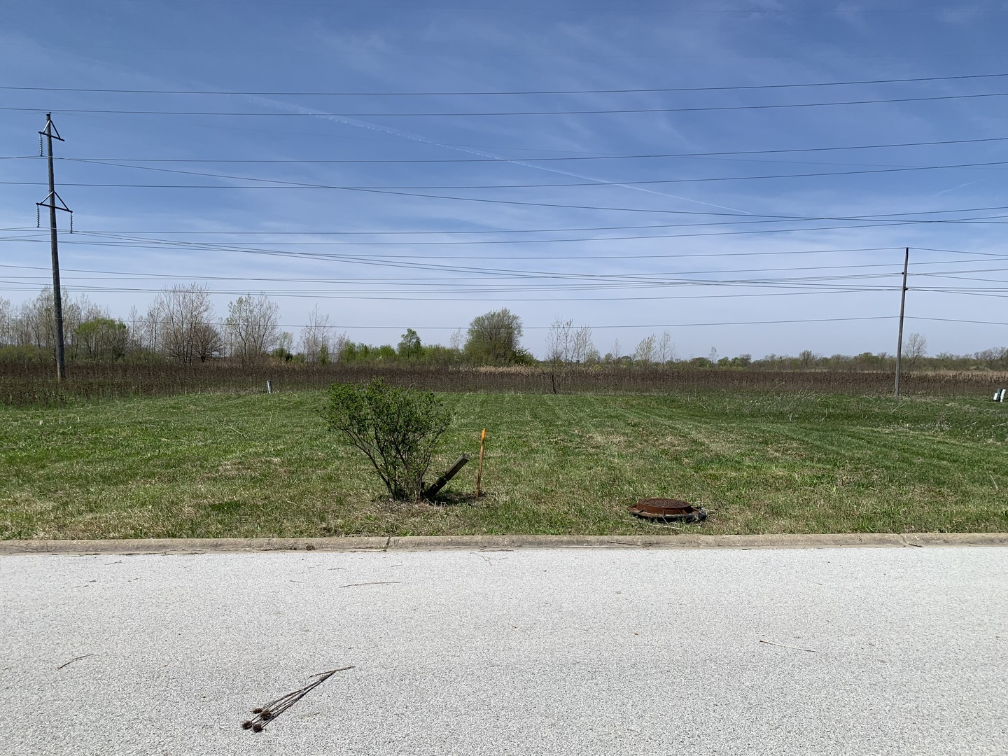 a view of a field with an ocean view